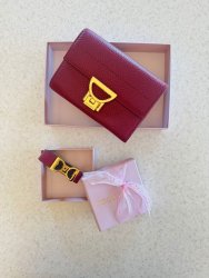 SET COCCINELLE ARLETTIS ribes