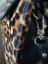 Set Abro Pony Leopard